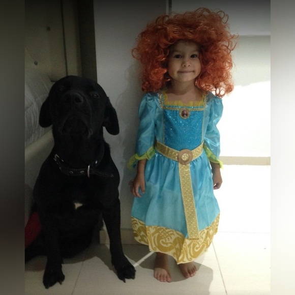 Disney Pixar Brave Merida Classic Costume, Auqa/Gold size 4-6X Disney princess - Picture 8 of 8